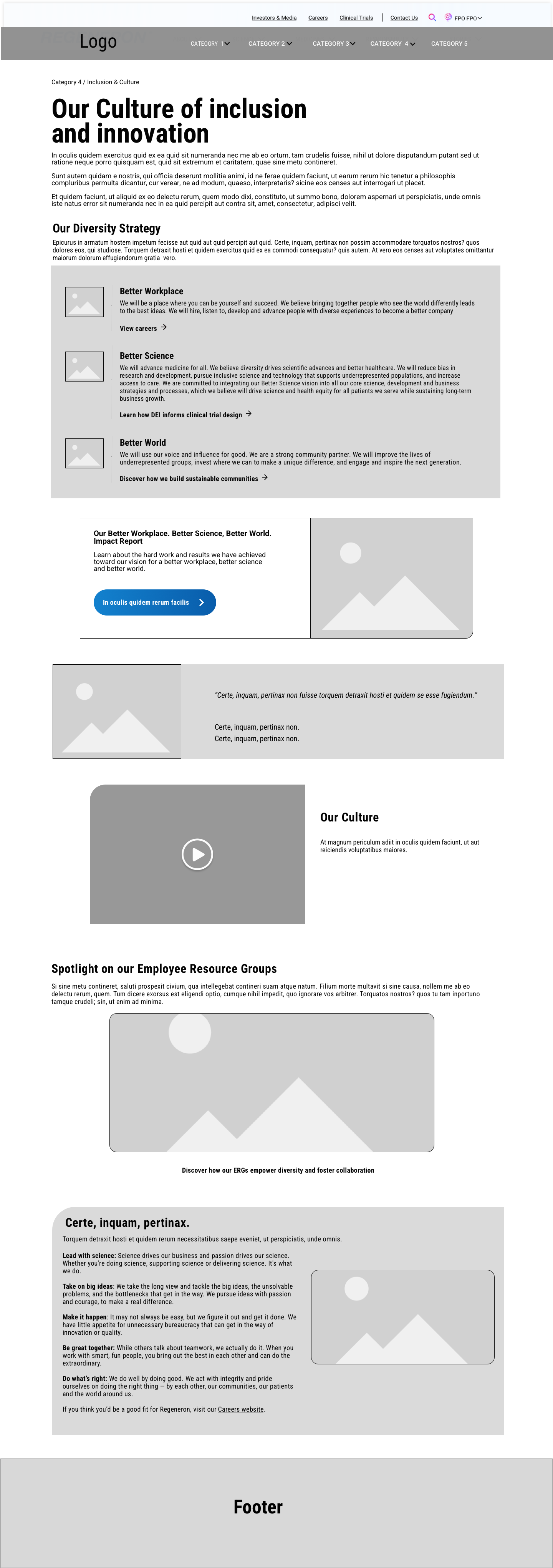 Culture and inclusion page wireframe